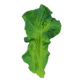 natural rubber teether baby chewing toy