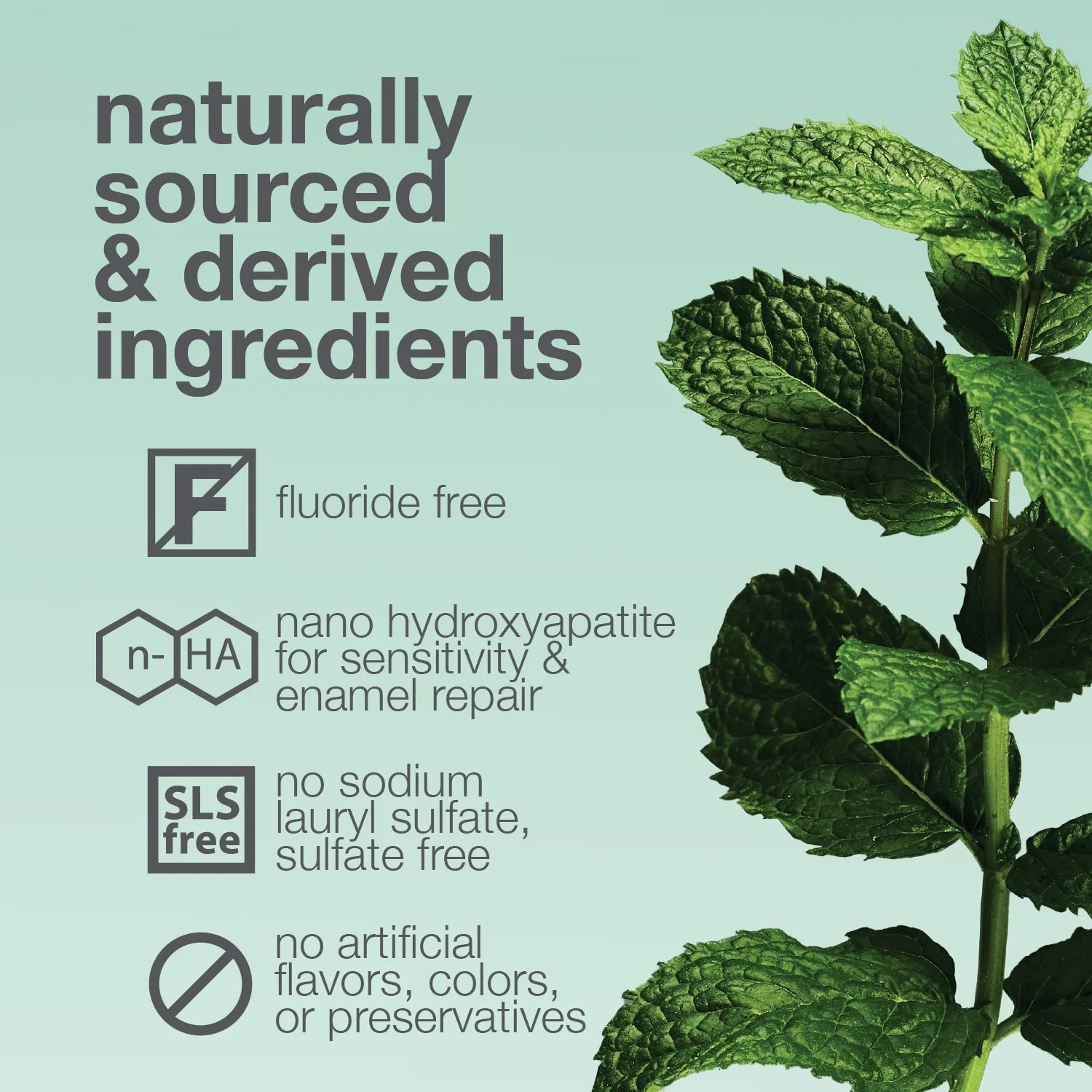 nfographic showing David's natural toothpaste benefits including fluoride-free, nano hydroxyapatite for sensitivity and enamel repair, SLS-free and no artificial ingredients