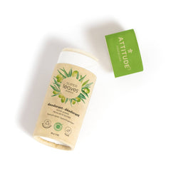 plastic free natural deodorant - olive leaves (super leaves)