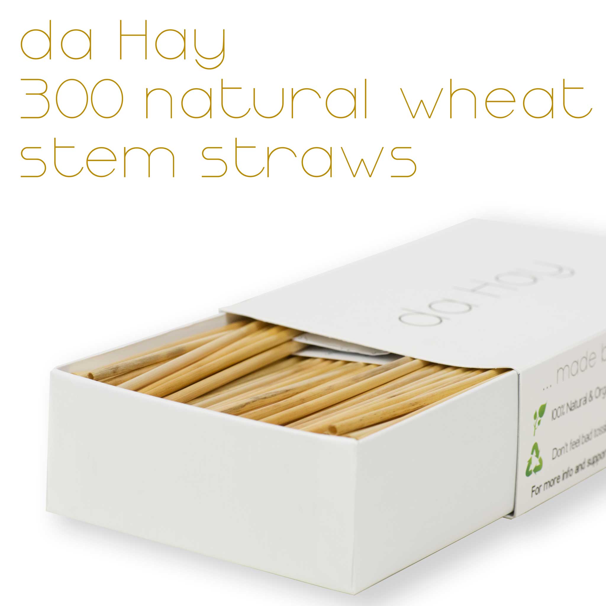 Jungle Straws Reusable Glass Drinking Straws