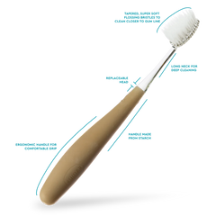 RADIUS Source Brush - Adult Toothbrush with Replaceable Head