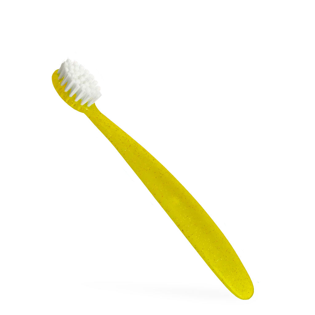 RADIUS Totz Brush (18 mo+) - Kids Toothbrush