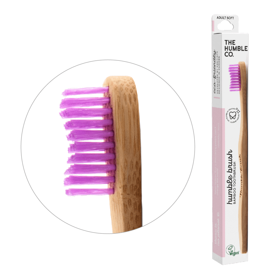 humble brush adult - purple, medium bristles